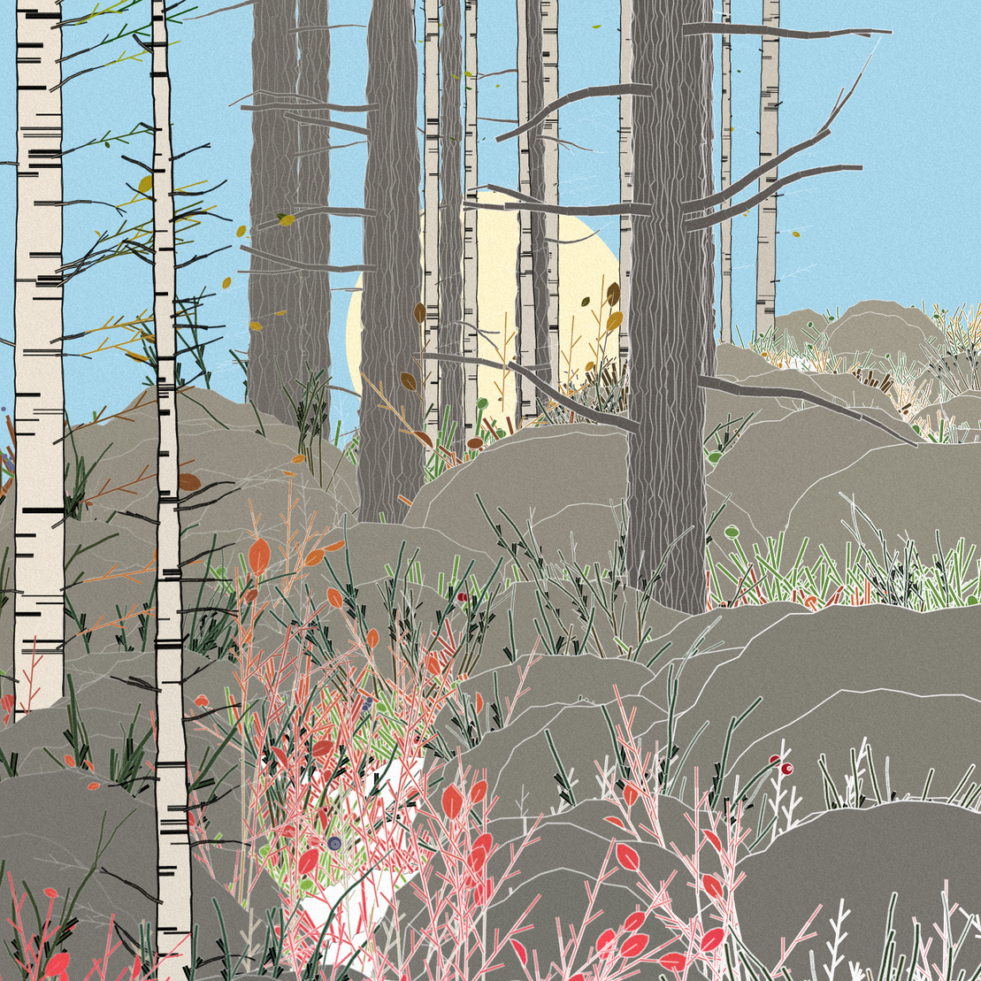 Swedish Forest #238
