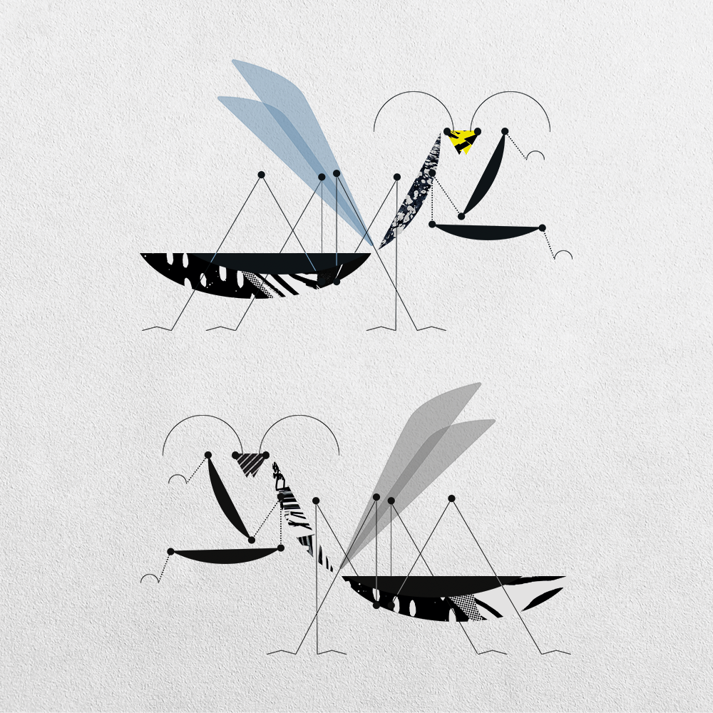 Mantis Abstraction #6