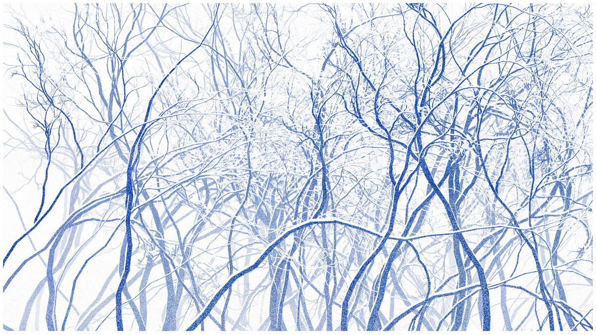 SCHNEEWALD #28
