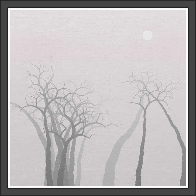 The Foggy Trees #153