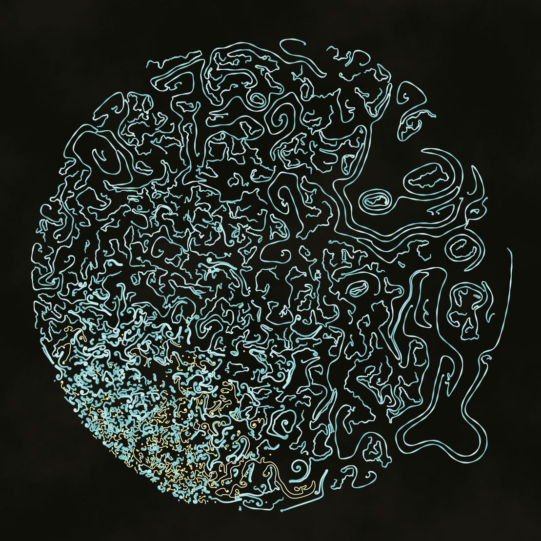 mycelia #194