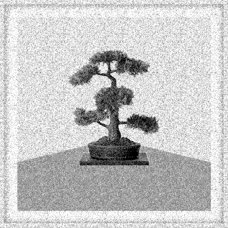 Bonsai Bonanza #302