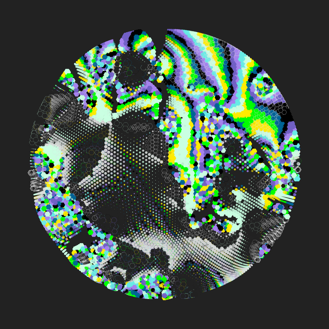 Still C #30074