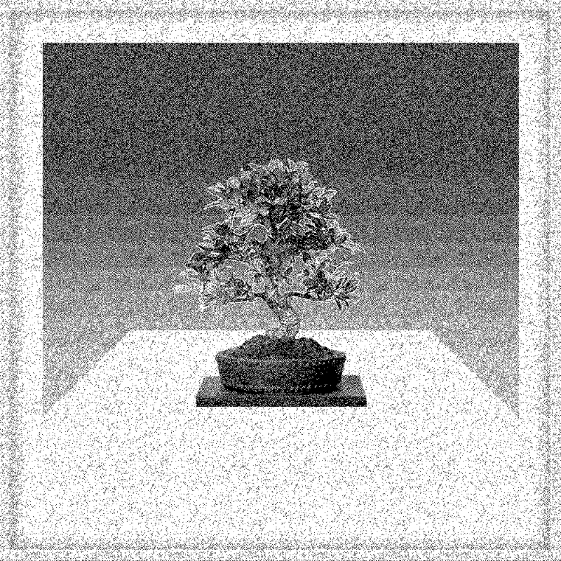 Bonsai Bonanza #196