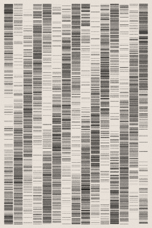 Sequence #199