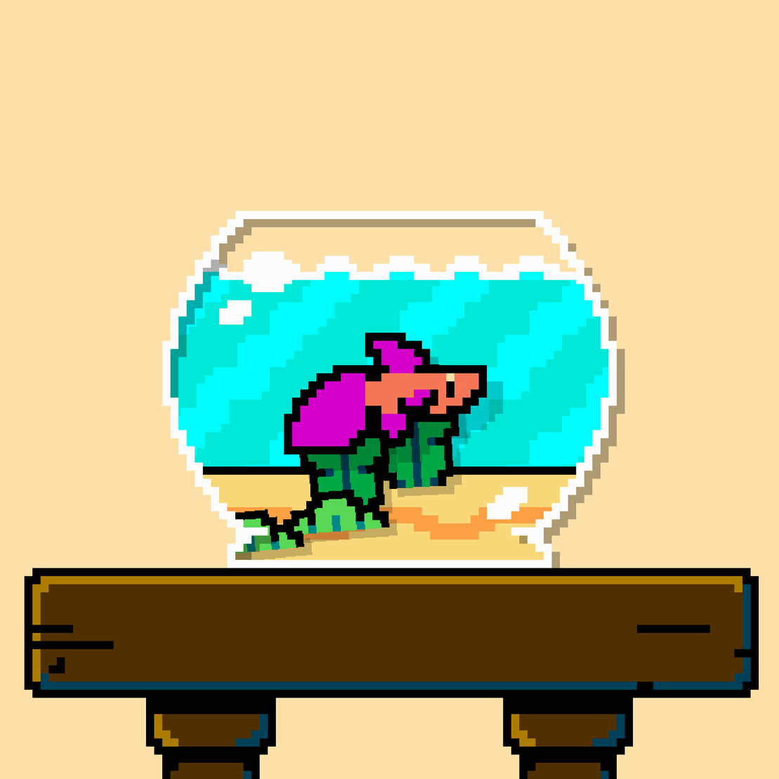 betta fish #261