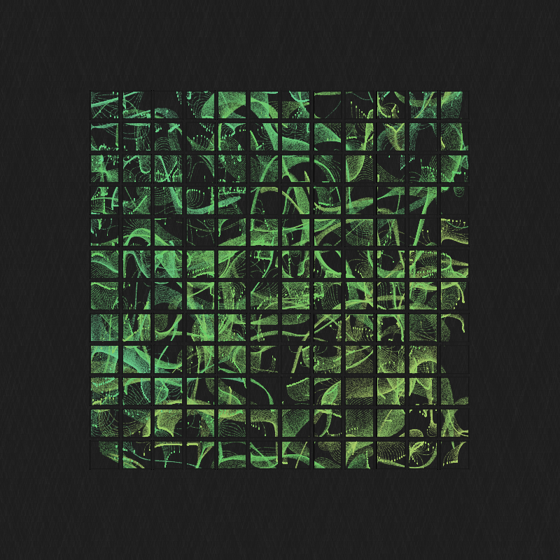 Insula #15