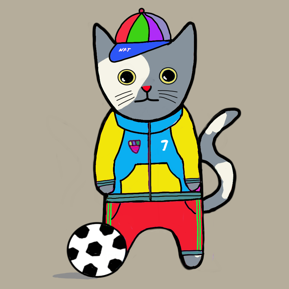 Sports cat #6