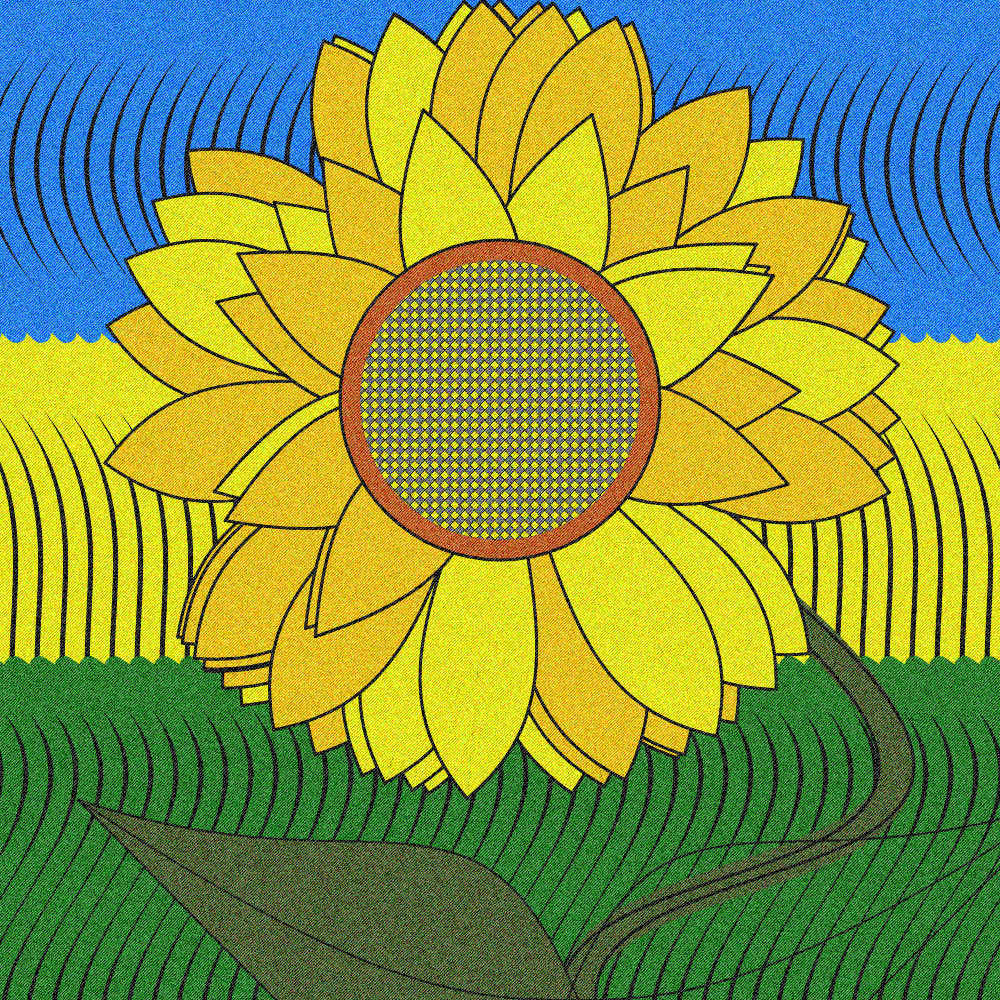  My sunflower #4