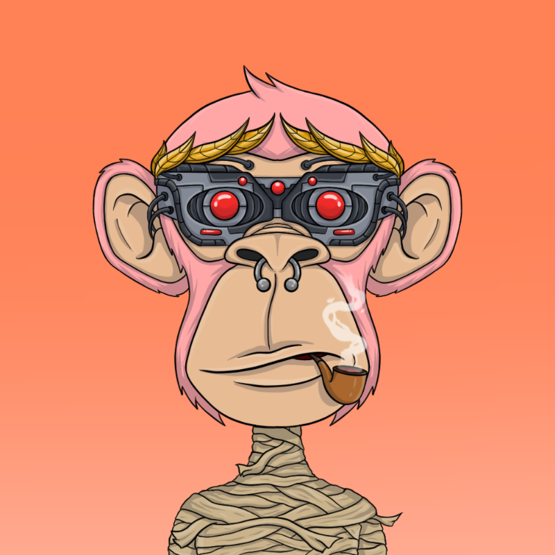 chimpantez #212