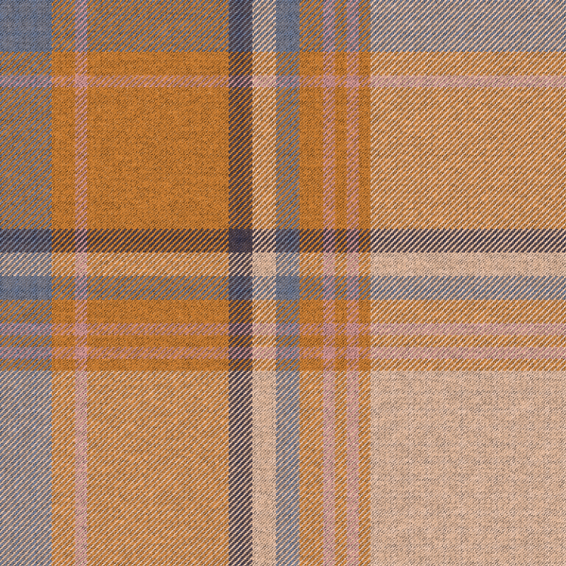 Tartan Cloth #25