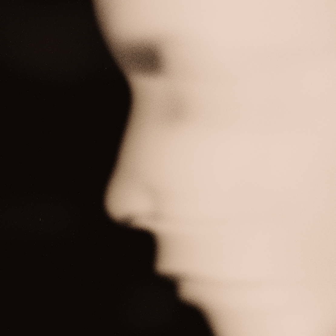 Emotional Shell #442