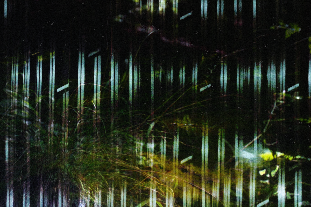 in between #12