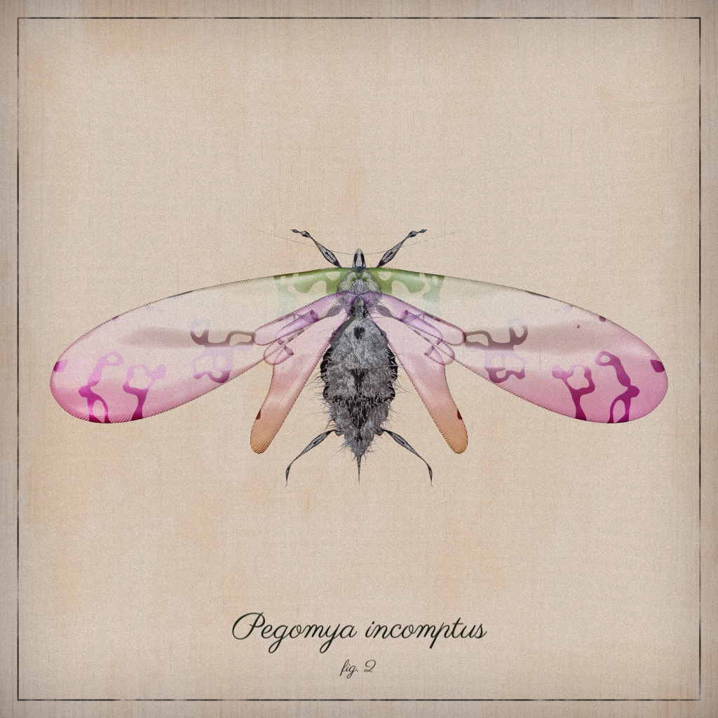 ProcGen Entomology #92