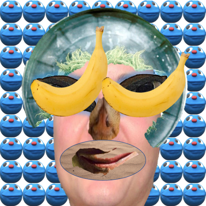 A collage of collages #645