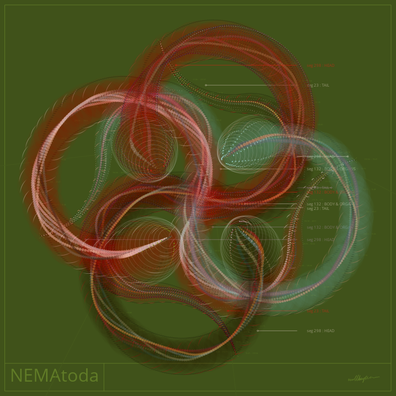 NEMA #61