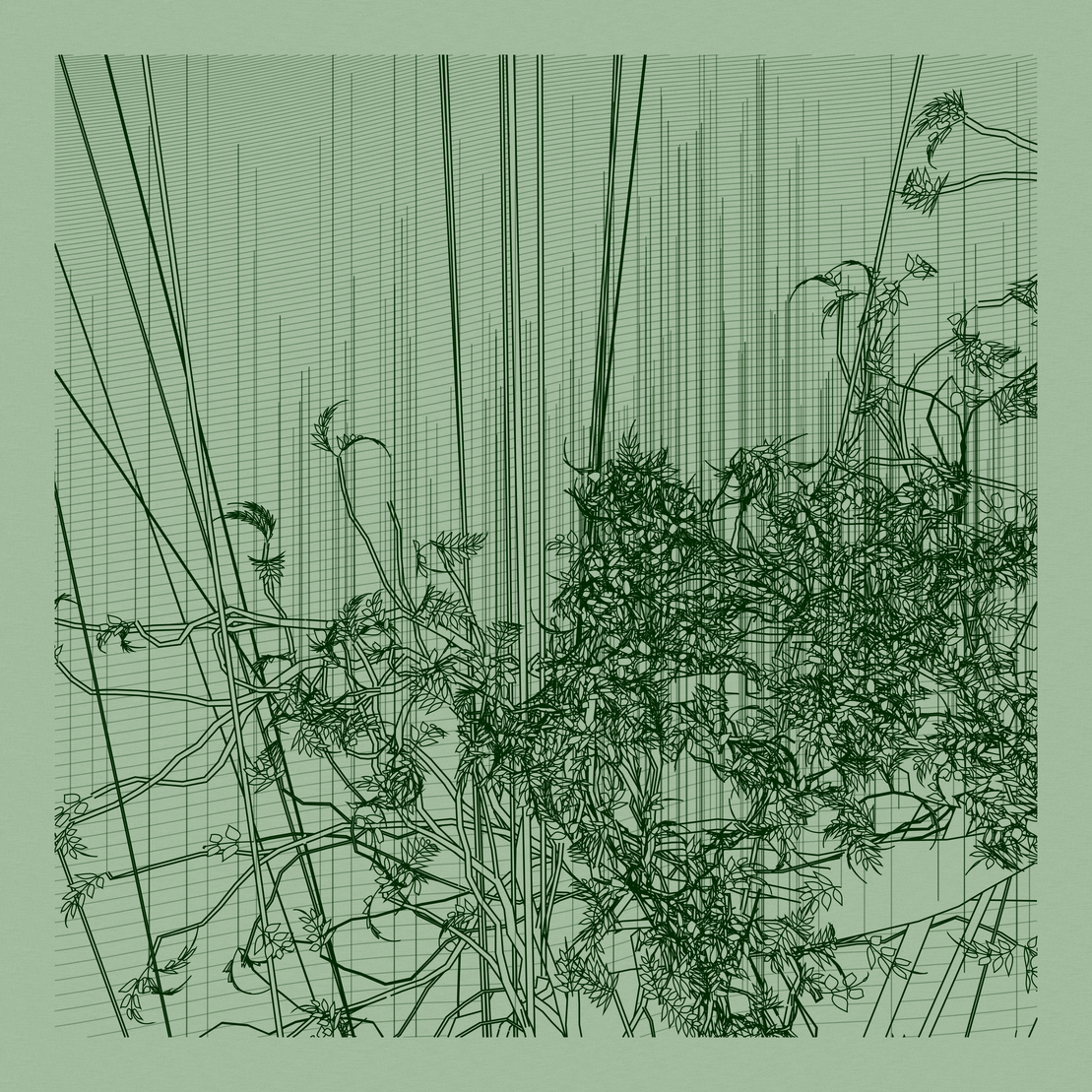 A Bugged Forest #810
