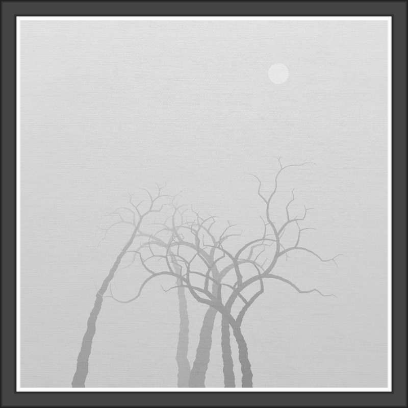 The Foggy Trees #126