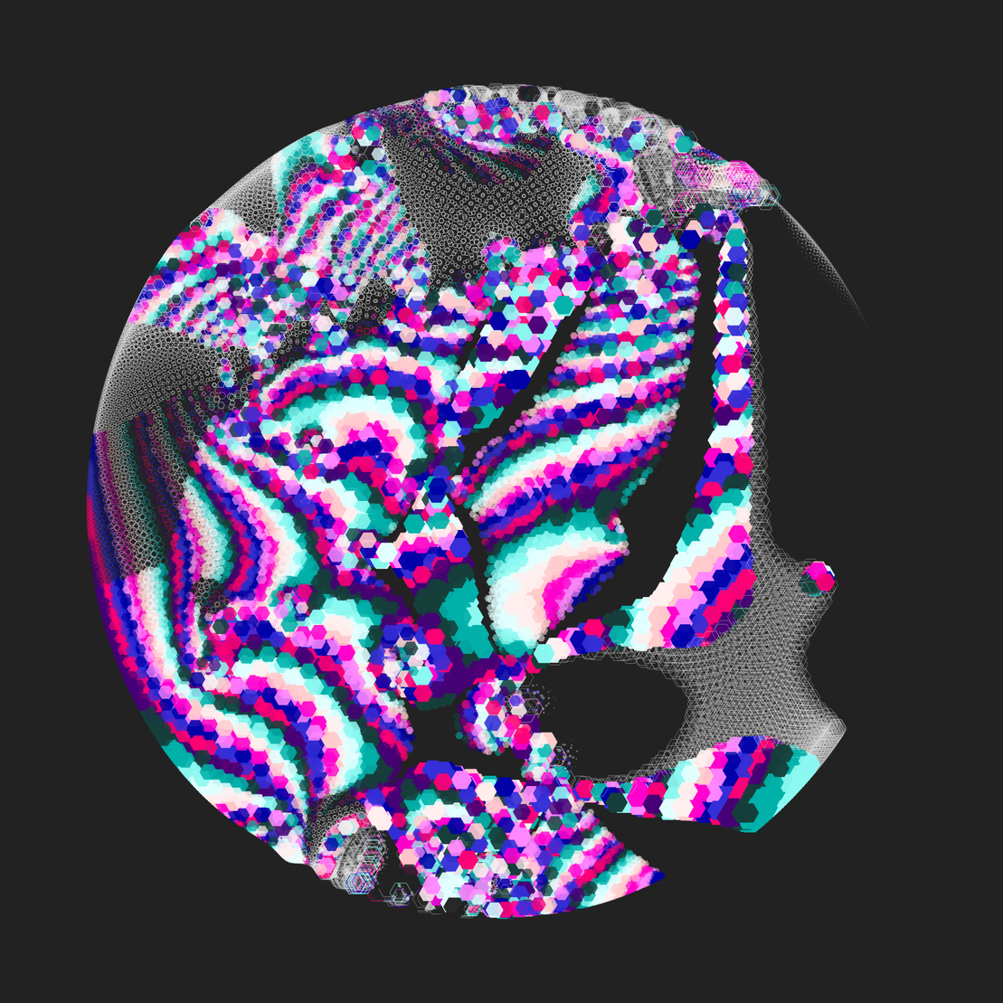 Still C #21365