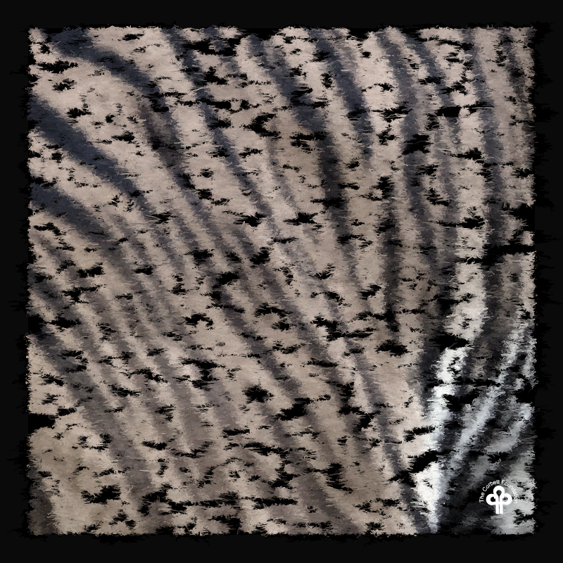 (re)generative tigers #14