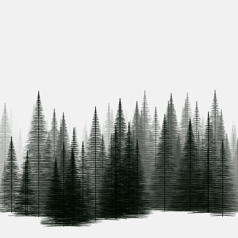 Pine trees in the cold #17