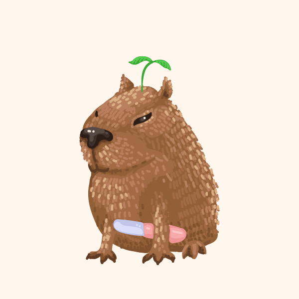 MEGA Capybara Collection #24