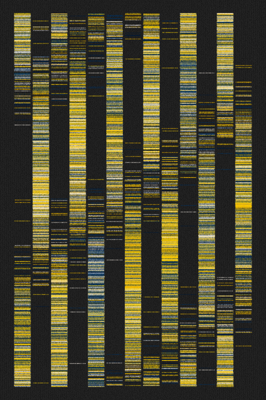 Sequence #83