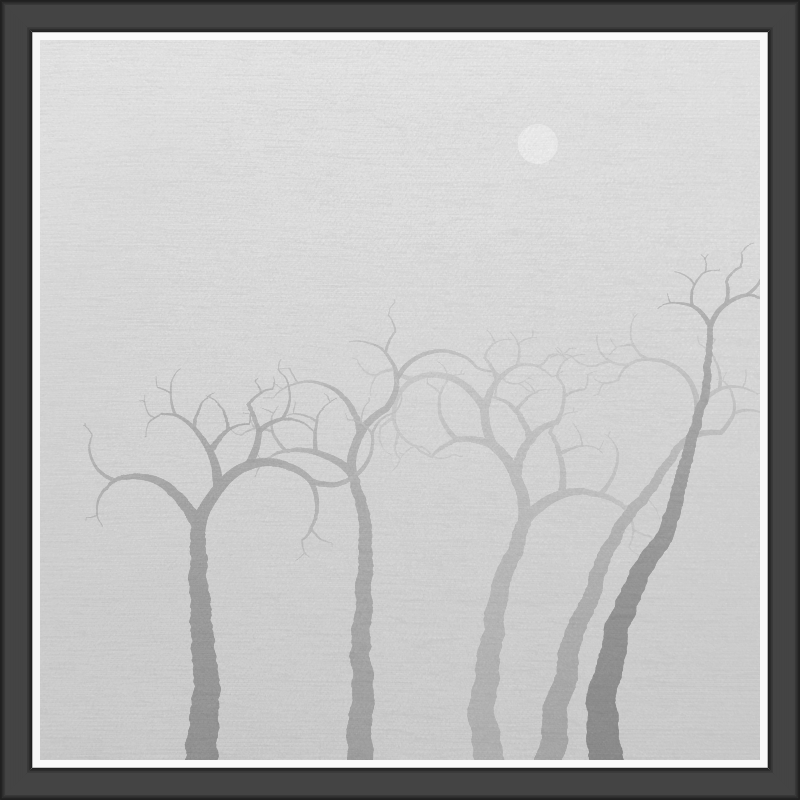 The Foggy Trees #33