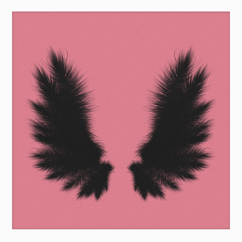 Symmetrical Wings #2