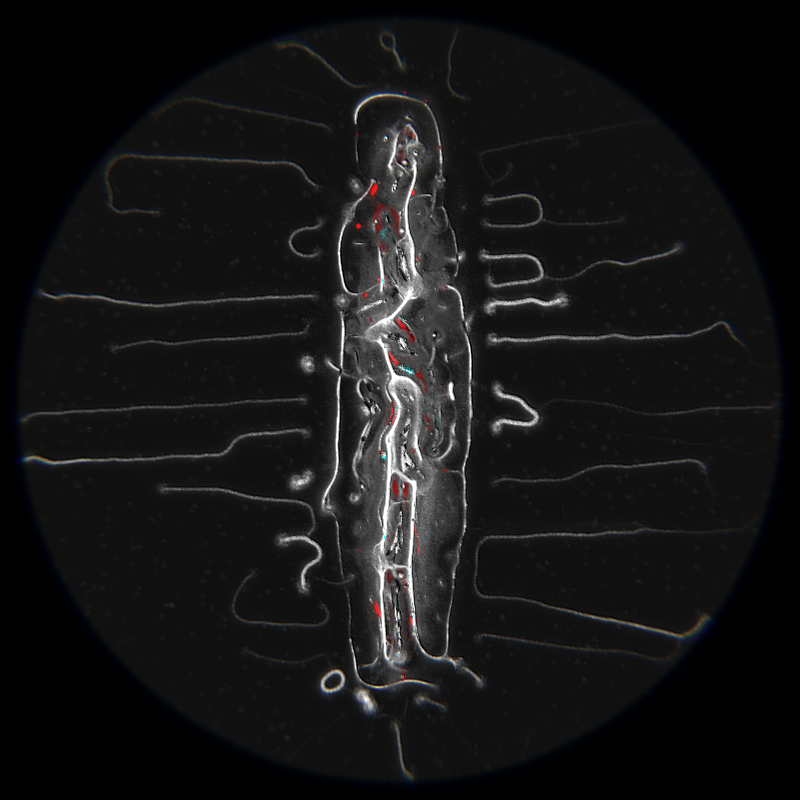 Ethereal Microcosm #241