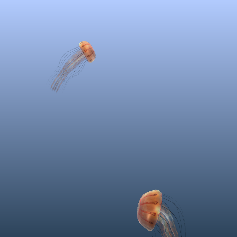 Jellyfish #41