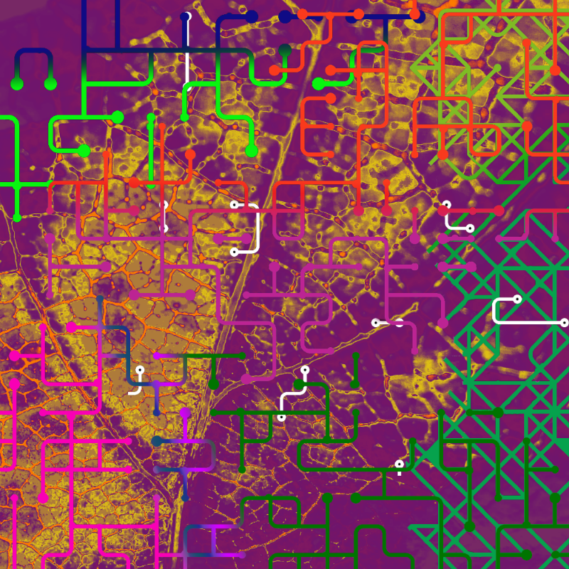CHAOS #46
