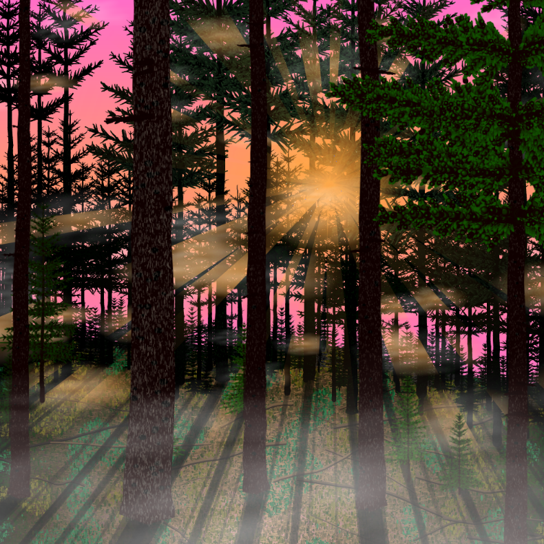 Forest Sunrise #27