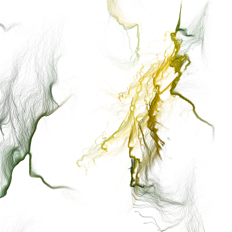 Hypericum #155