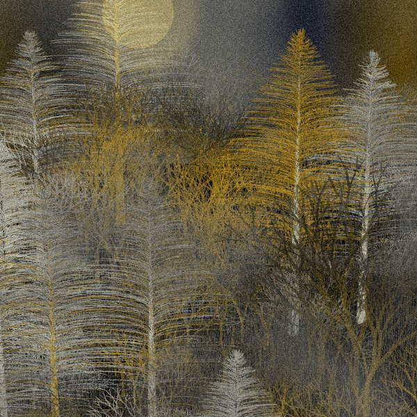 Moonlit Native Bush #131