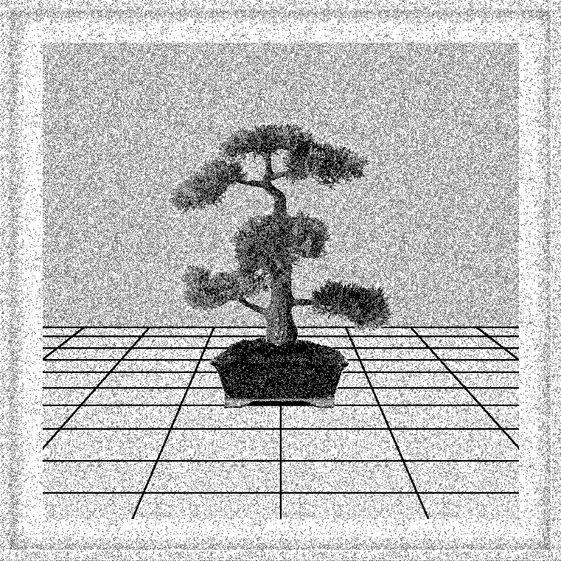 Bonsai Bonanza #355