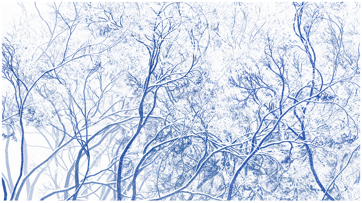 SCHNEEWALD #66