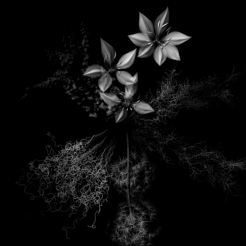 Botanical Ghosts #105