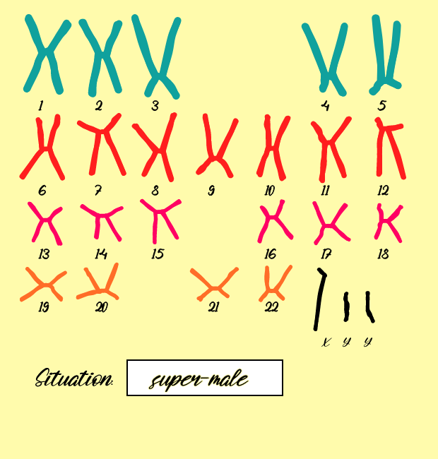 "Karyotype" #13