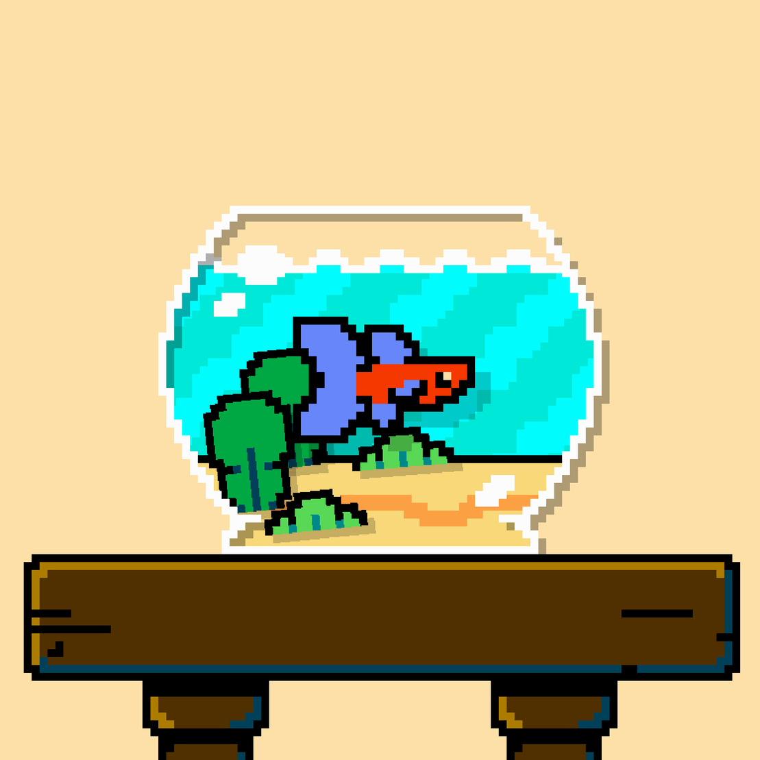 betta fish #435