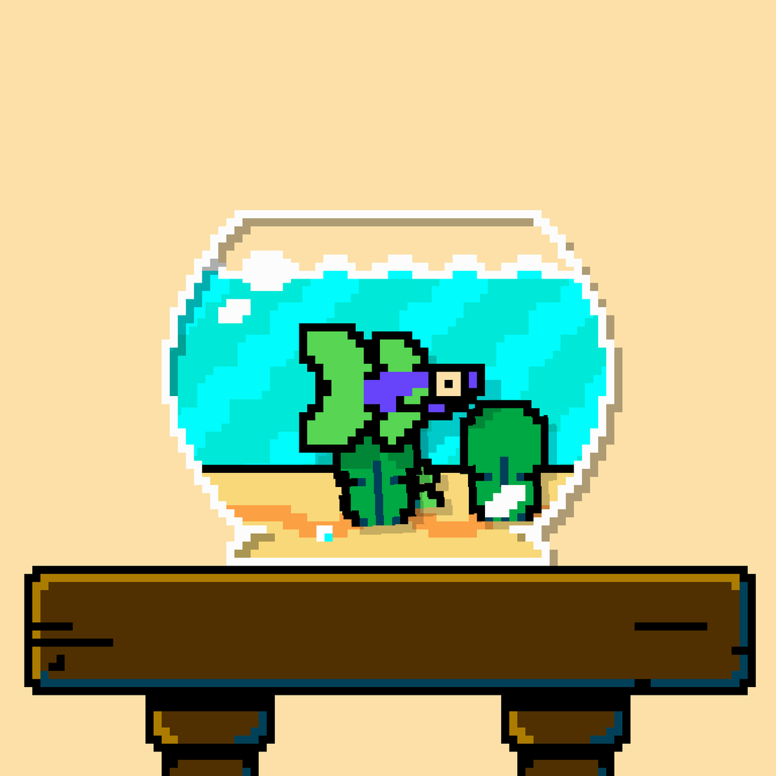 betta fish #542
