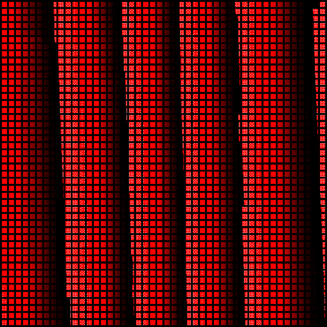 Calculating Happiness #46