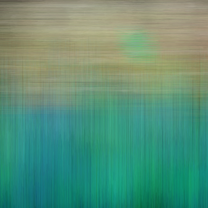 Hatch Field 003 #29