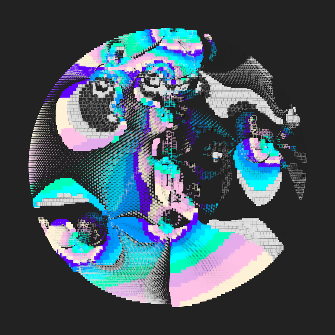 Still C #24833