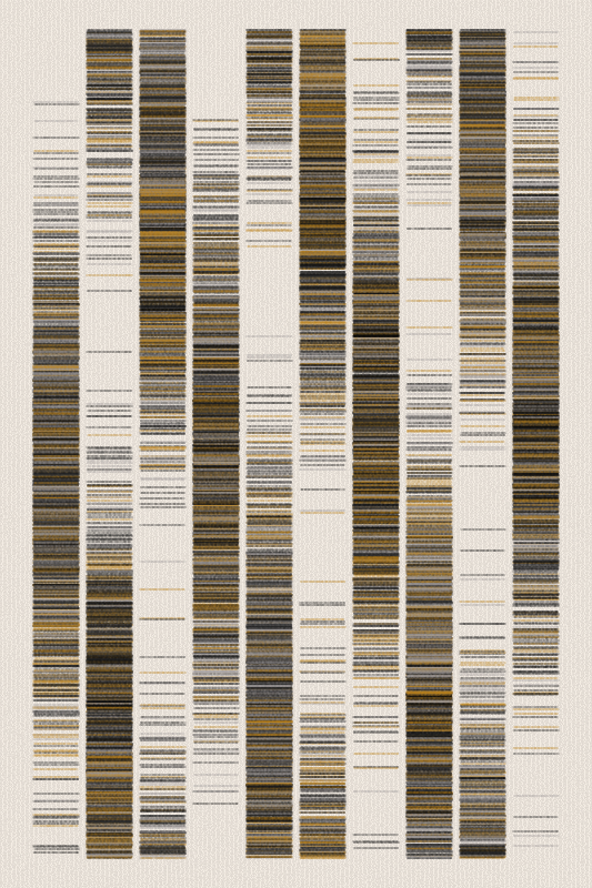 Sequence #72