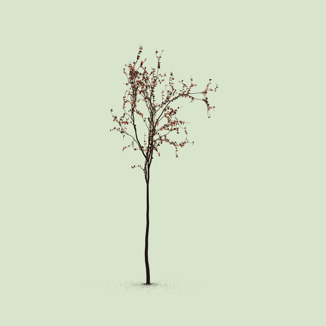 Little Trees #97