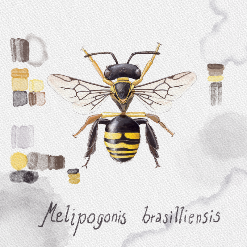 Randomic Brazilian Bees  #2