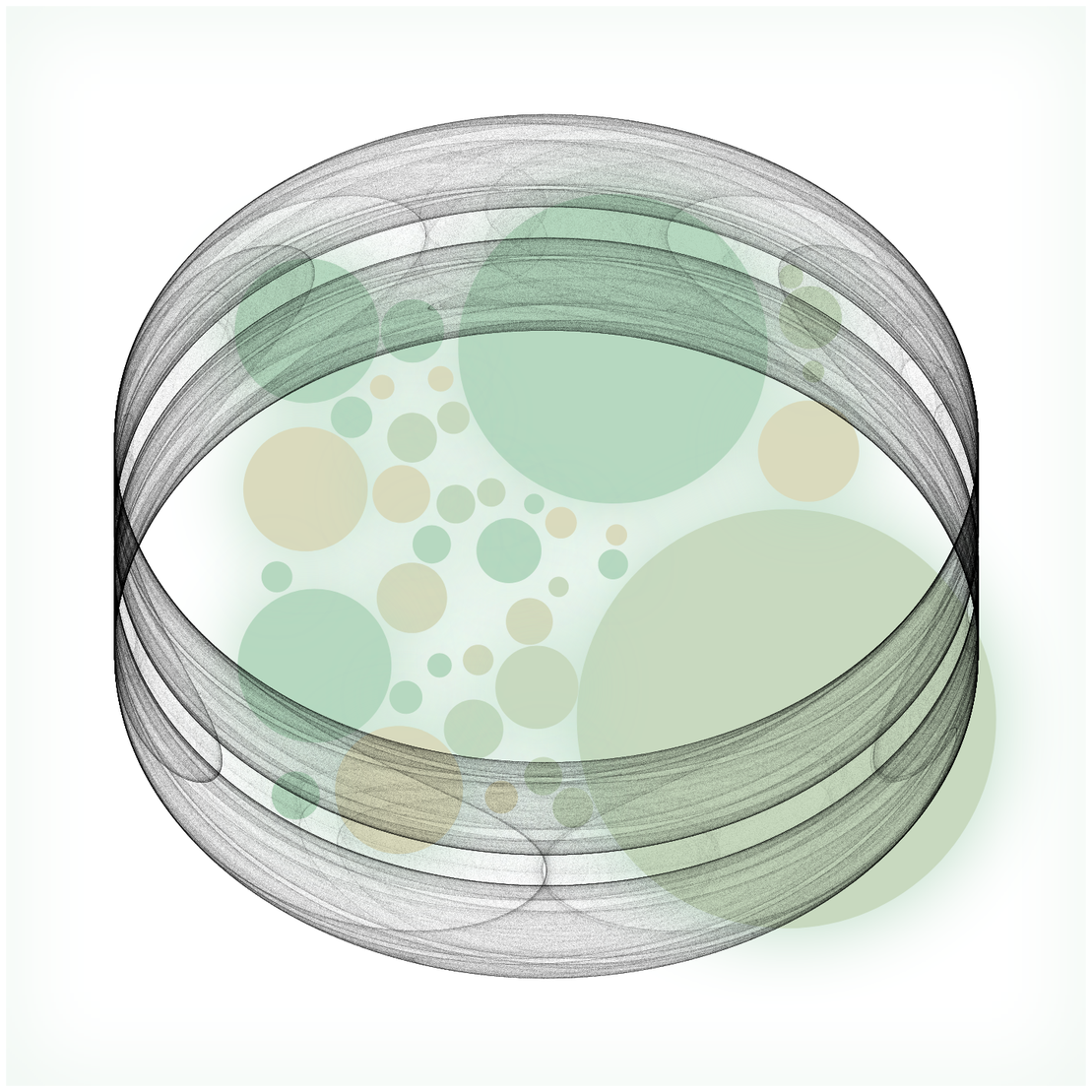 Attractors and Circles #64