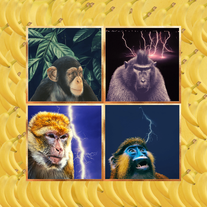 Banana legends #14