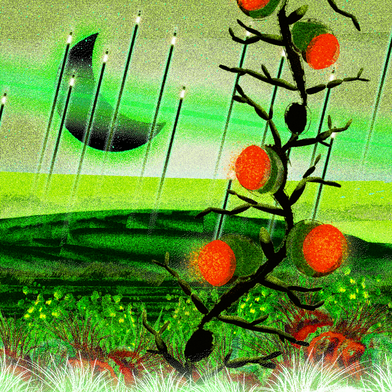 Onablo's Herbs #254